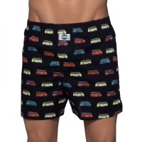 D.E.A.L. Boxershorts Surf Van 192002