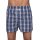 D.E.A.L. Boxershorts Check 192011